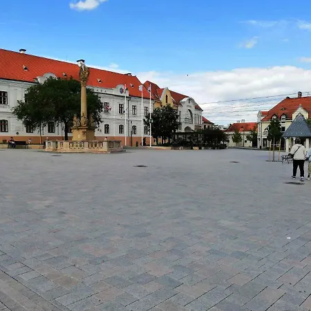 In - Balaton 44884 Apartment