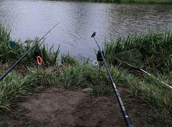 דירה In - Balaton 44884